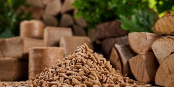 Le pellets et granulés de bois : une alternative écologique pour votre chauffage domestique